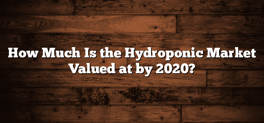 How Much Is the Hydroponic Market Valued at by 2020?