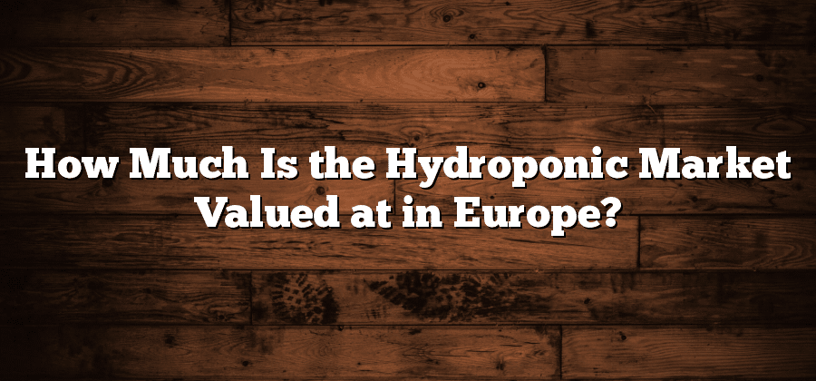 How Much Is the Hydroponic Market Valued at in Europe?