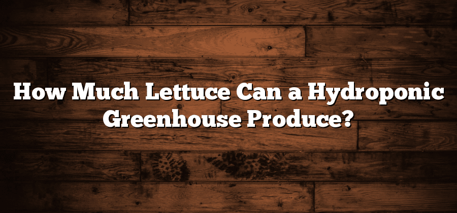 How Much Lettuce Can a Hydroponic Greenhouse Produce?