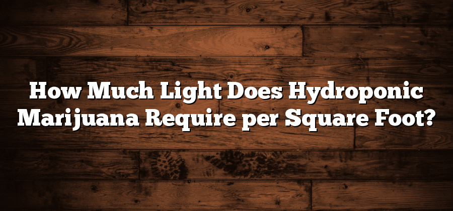 How Much Light Does Hydroponic Marijuana Require per Square Foot?
