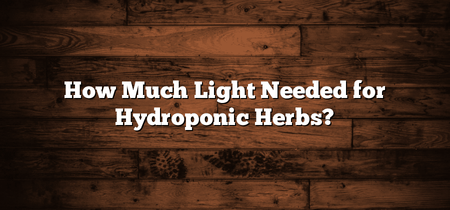 How Much Light Needed for Hydroponic Herbs?