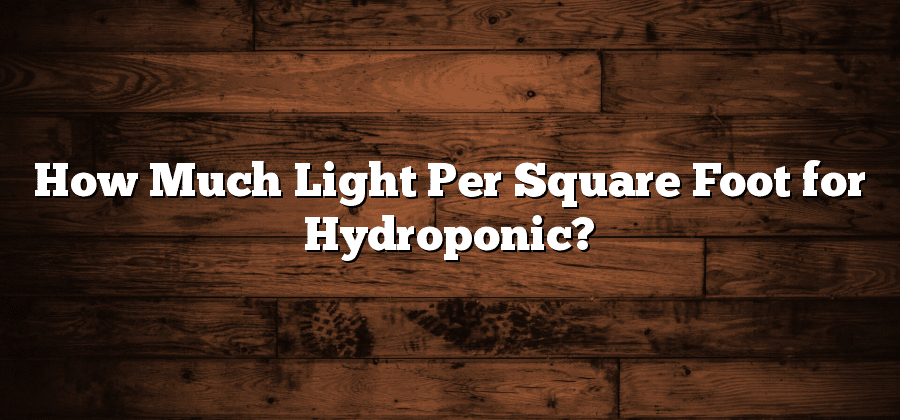 How Much Light Per Square Foot for Hydroponic?