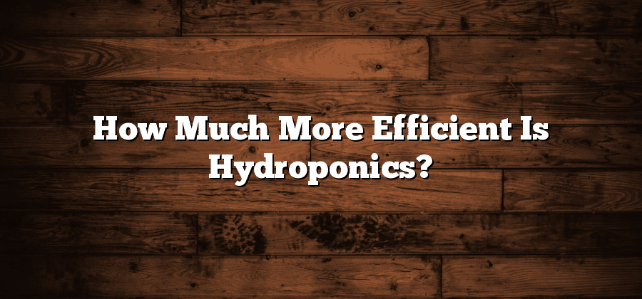 How Much More Efficient Is Hydroponics?
