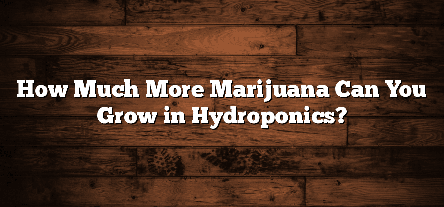 How Much More Marijuana Can You Grow in Hydroponics?