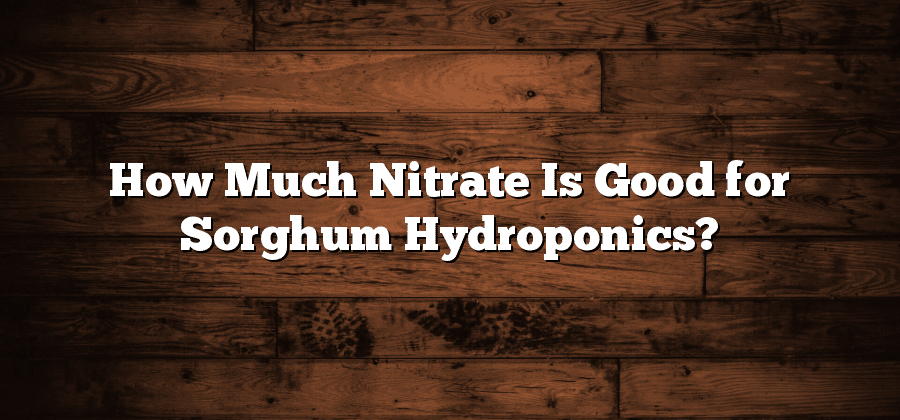 How Much Nitrate Is Good for Sorghum Hydroponics?