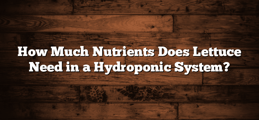 How Much Nutrients Does Lettuce Need in a Hydroponic System?