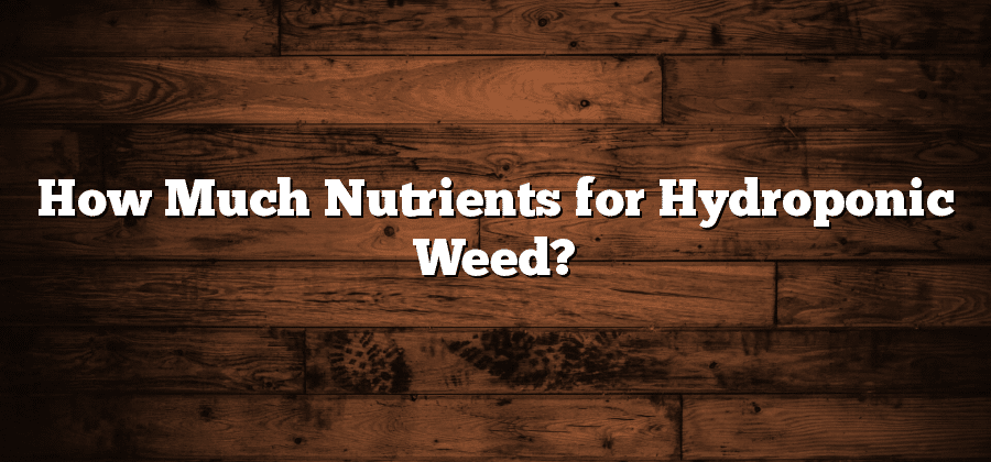 How Much Nutrients for Hydroponic Weed?