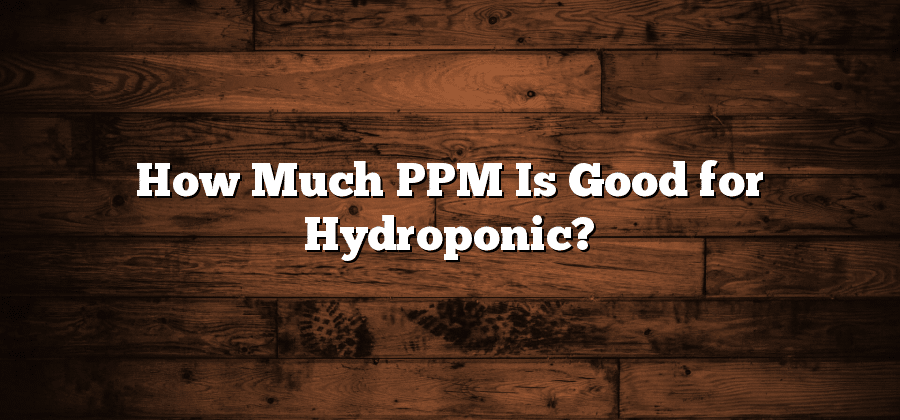 How Much PPM Is Good for Hydroponic?