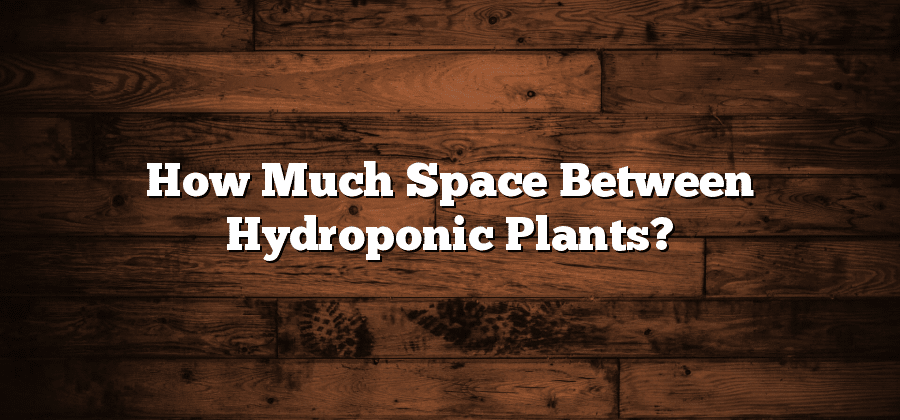 How Much Space Between Hydroponic Plants?