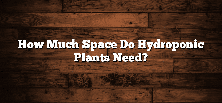How Much Space Do Hydroponic Plants Need?
