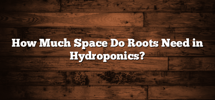 How Much Space Do Roots Need in Hydroponics?
