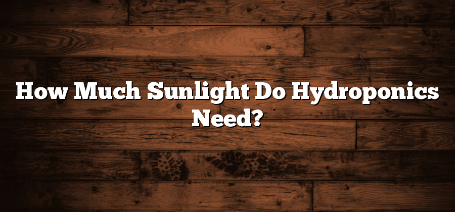 How Much Sunlight Do Hydroponics Need?