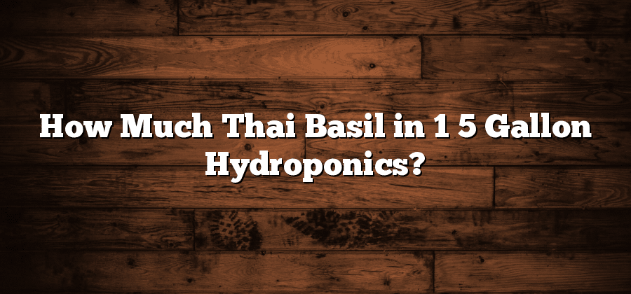 How Much Thai Basil in 1 5 Gallon Hydroponics?