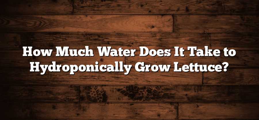 How Much Water Does It Take to Hydroponically Grow Lettuce?