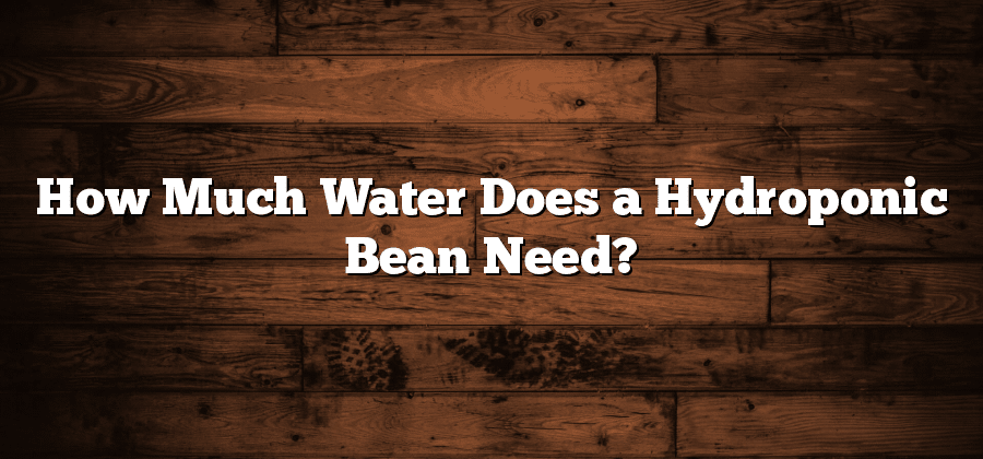 How Much Water Does a Hydroponic Bean Need?