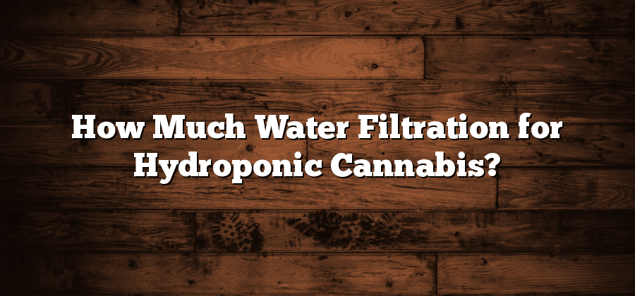 How Much Water Filtration for Hydroponic Cannabis?