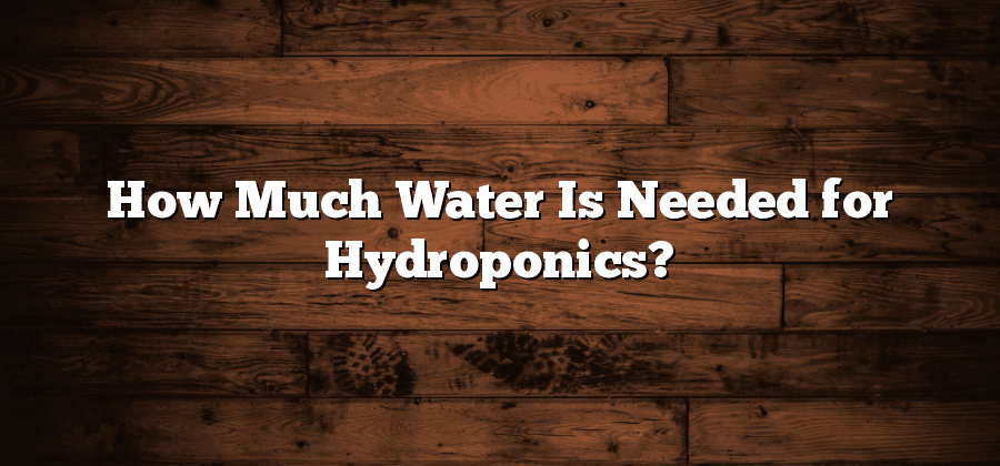 How Much Water Is Needed for Hydroponics?