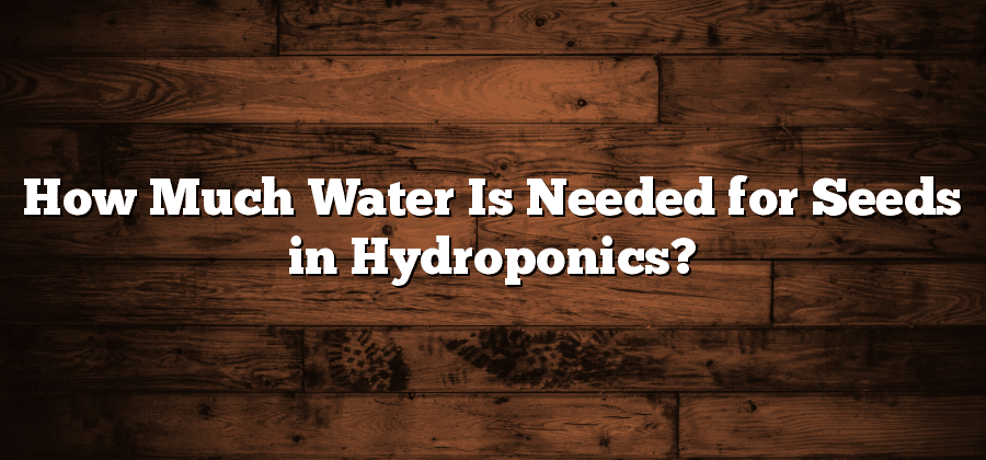 How Much Water Is Needed for Seeds in Hydroponics?