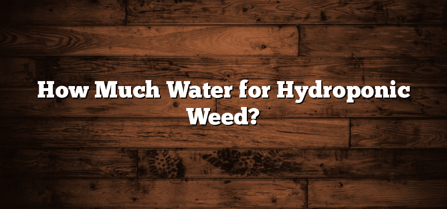 How Much Water for Hydroponic Weed?