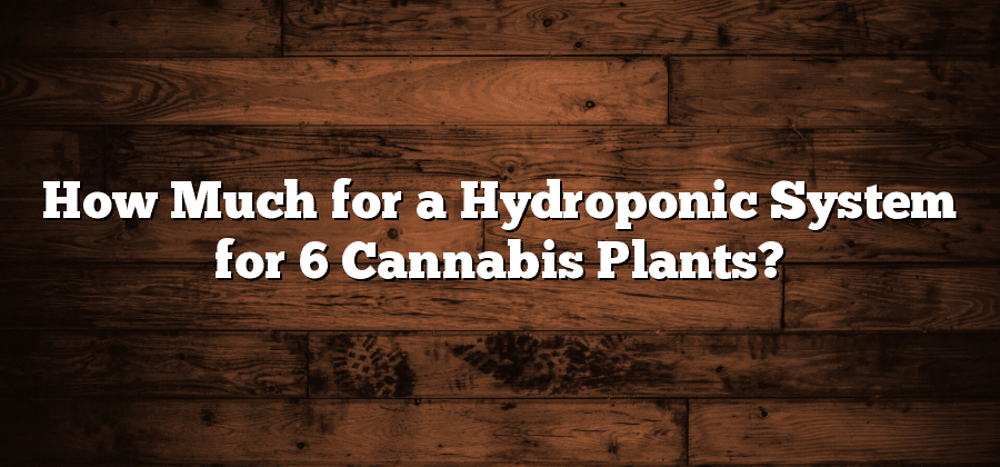 How Much for a Hydroponic System for 6 Cannabis Plants?