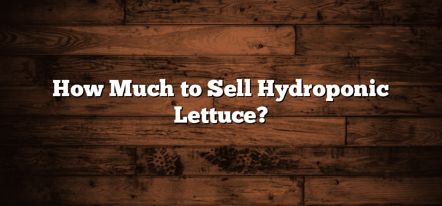 How Much to Sell Hydroponic Lettuce?