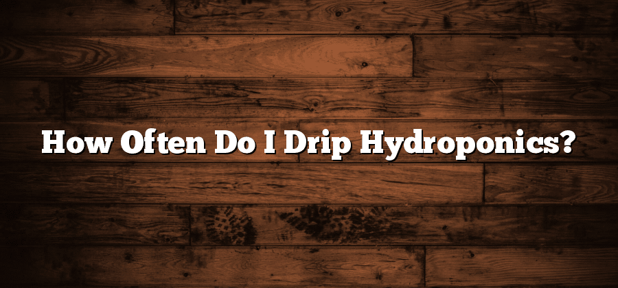 How Often Do I Drip Hydroponics?