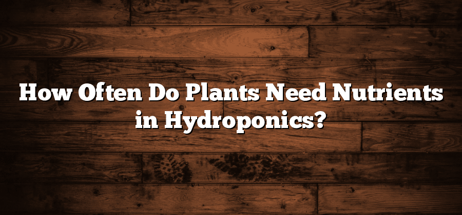 How Often Do Plants Need Nutrients in Hydroponics?