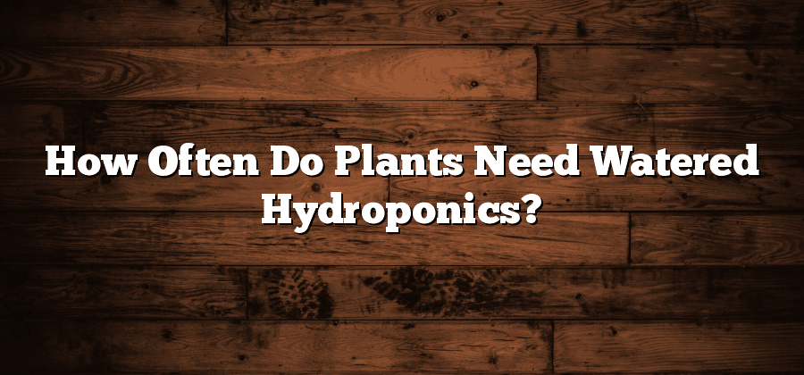 How Often Do Plants Need Watered Hydroponics?