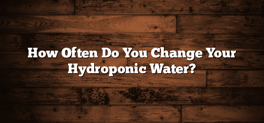 How Often Do You Change Your Hydroponic Water?