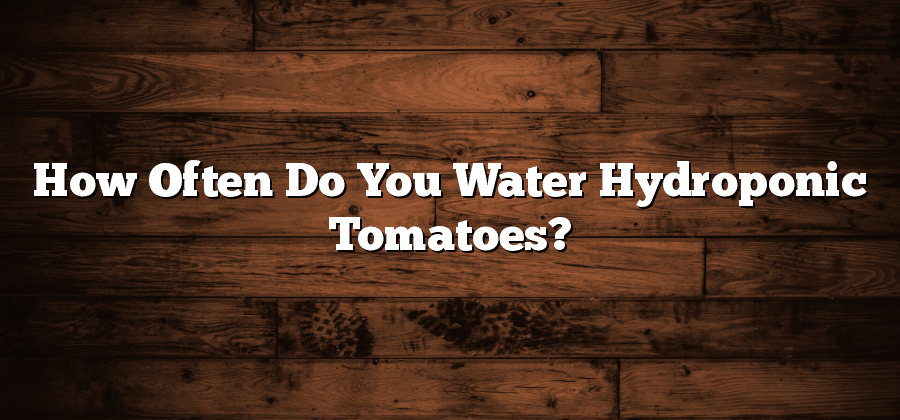 How Often Do You Water Hydroponic Tomatoes?