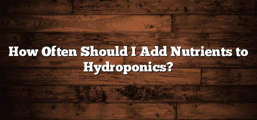 How Often Should I Add Nutrients to Hydroponics?