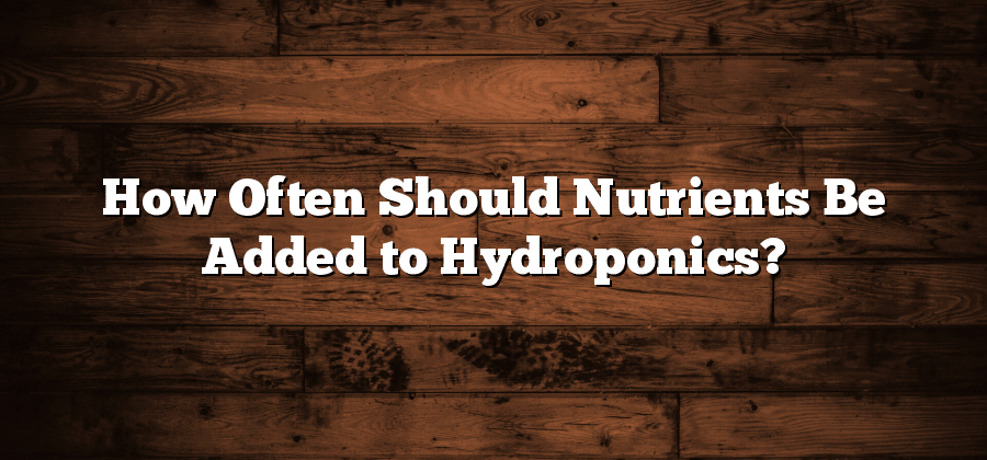 How Often Should Nutrients Be Added to Hydroponics?