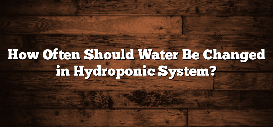 How Often Should Water Be Changed in Hydroponic System?