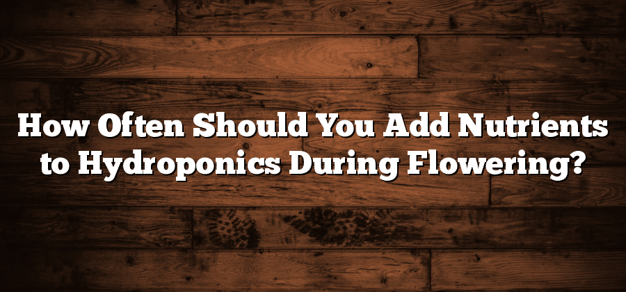 How Often Should You Add Nutrients To Hydroponics During Flowering 