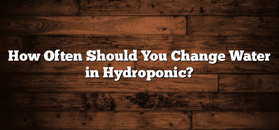 How Often Should You Change Water in Hydroponic?