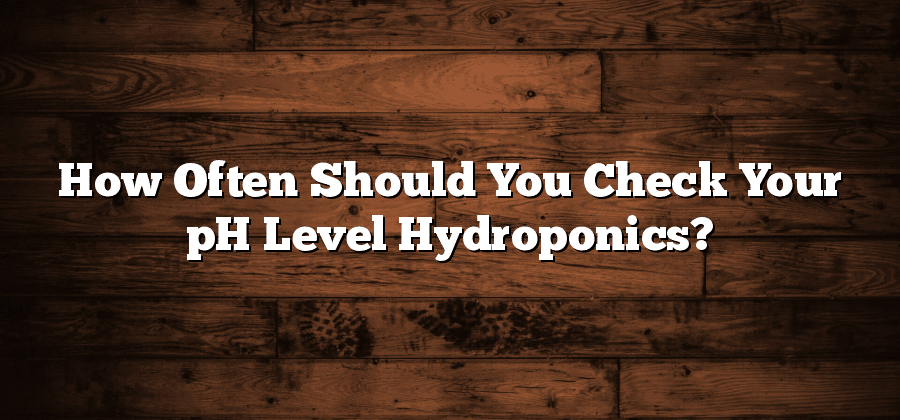 How Often Should You Check Your pH Level Hydroponics?