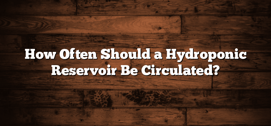 How Often Should a Hydroponic Reservoir Be Circulated?