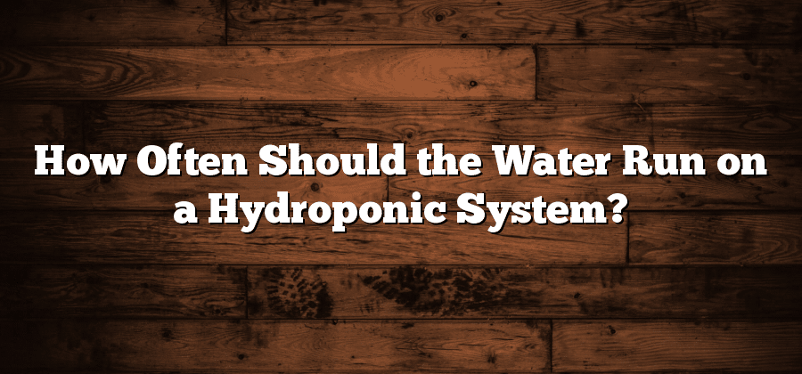 How Often Should the Water Run on a Hydroponic System?