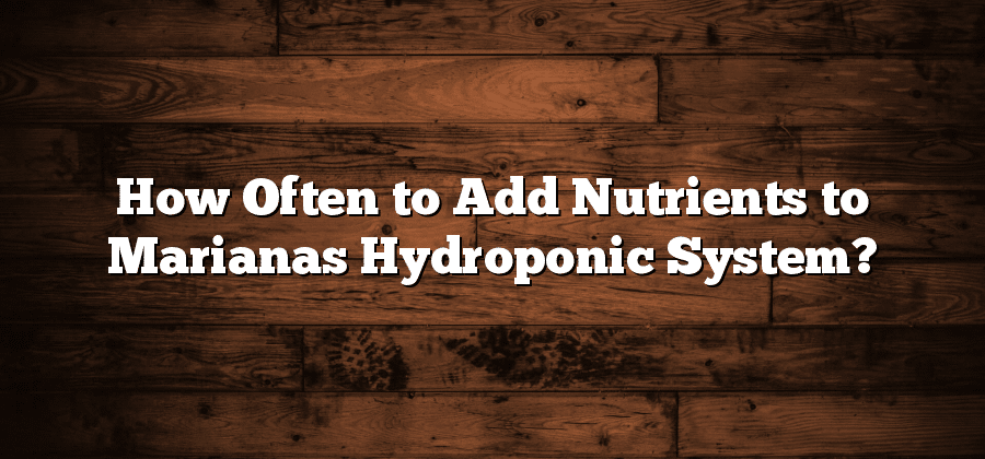 How Often to Add Nutrients to Marianas Hydroponic System?