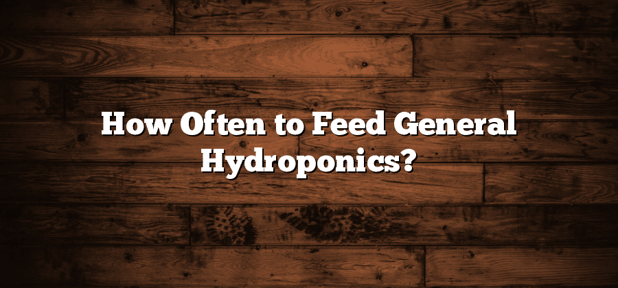How Often to Feed General Hydroponics?