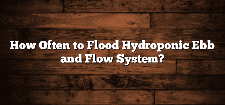 How Often to Flood Hydroponic Ebb and Flow System?