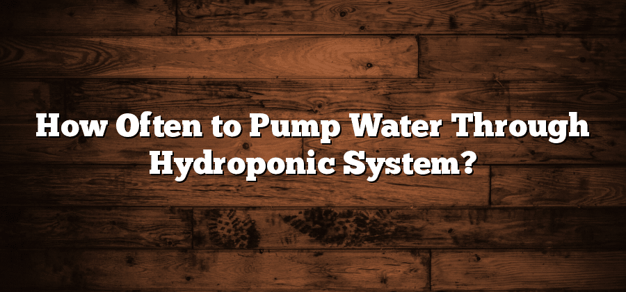 How Often to Pump Water Through Hydroponic System?