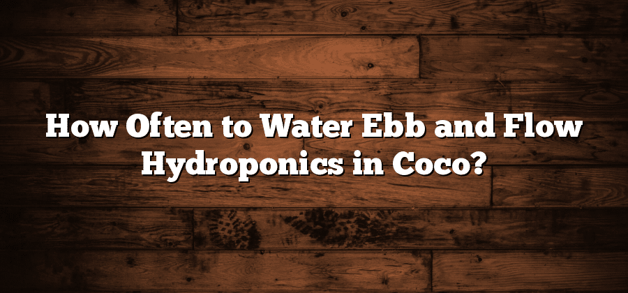 How Often to Water Ebb and Flow Hydroponics in Coco?