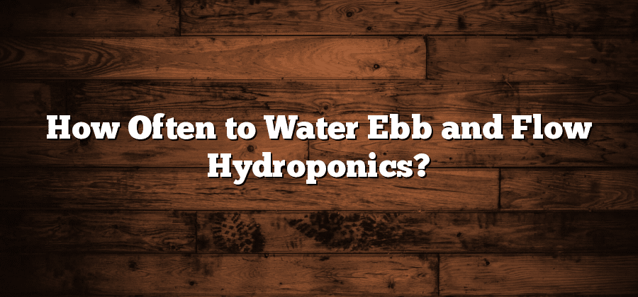 How Often to Water Ebb and Flow Hydroponics?