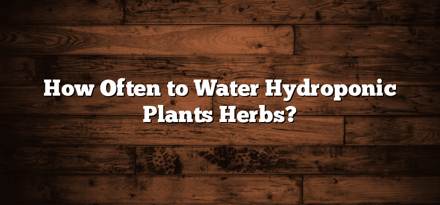 How Often to Water Hydroponic Plants Herbs?