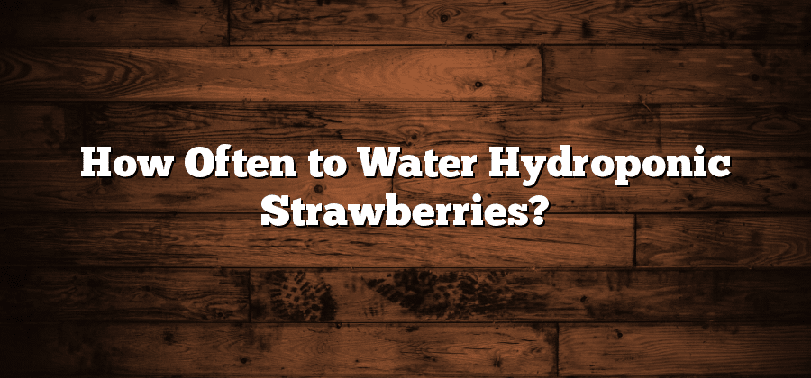 How Often to Water Hydroponic Strawberries?