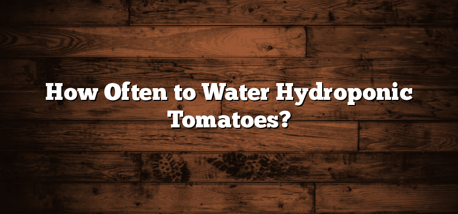 How Often to Water Hydroponic Tomatoes?