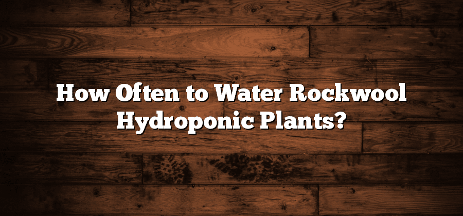 How Often to Water Rockwool Hydroponic Plants?