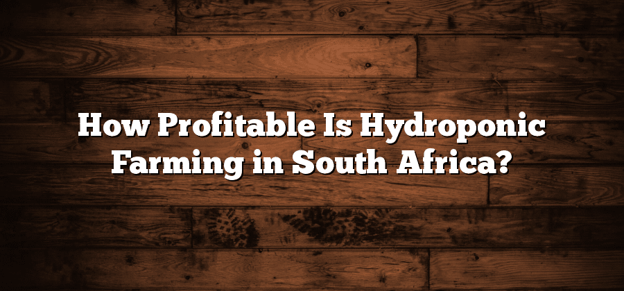 How Profitable Is Hydroponic Farming in South Africa?