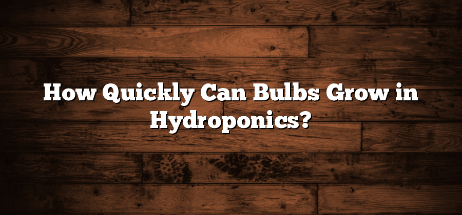 How Quickly Can Bulbs Grow in Hydroponics?